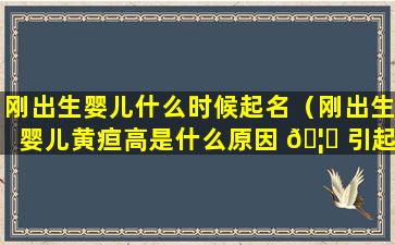 刚出生婴儿什么时候起名（刚出生婴儿黄疸高是什么原因 🦋 引起的）